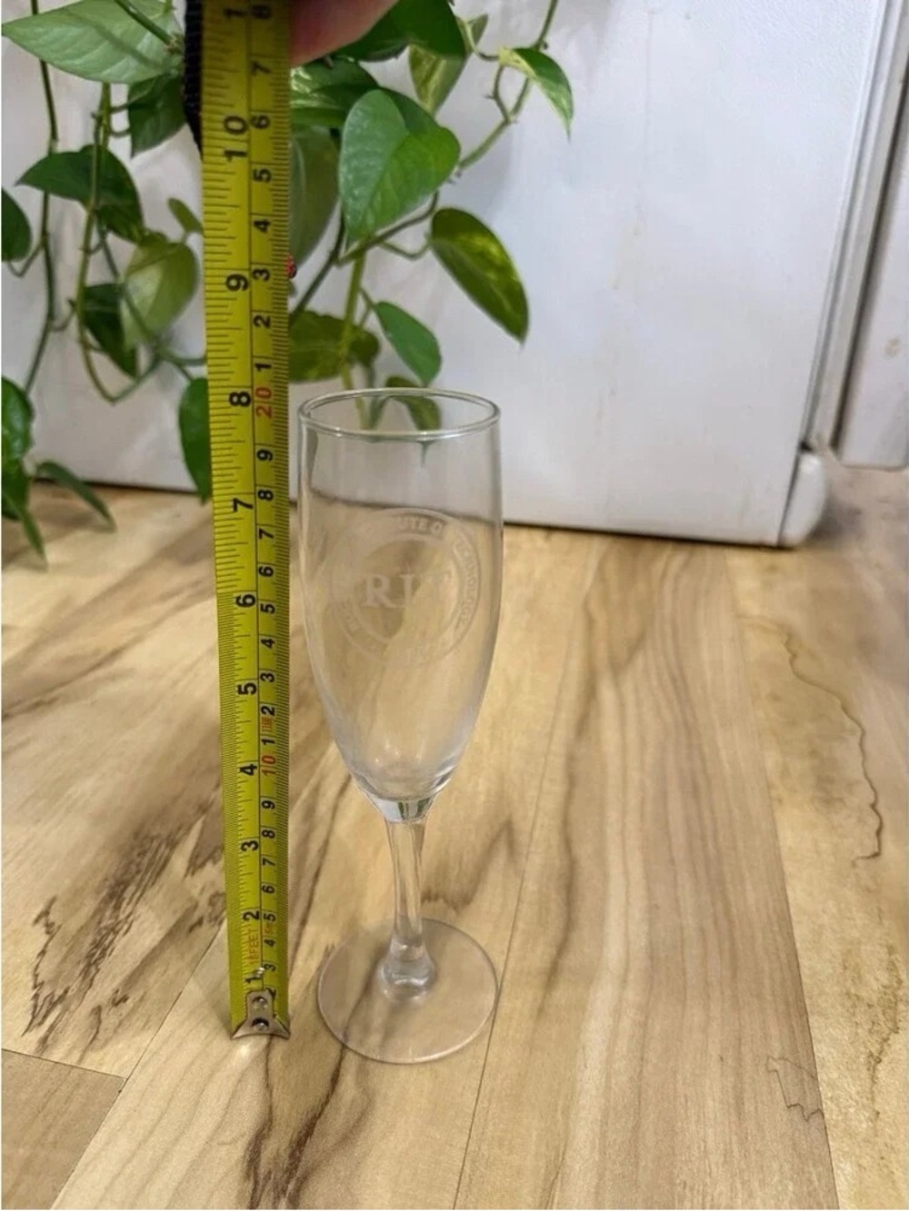 Clear Crystal Champagne Flute - Elegant Glass Stemware